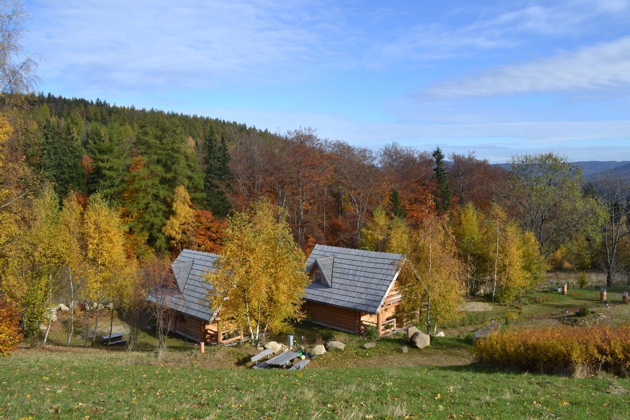 Lesniowka Domki W Karpaczu Exterior photo